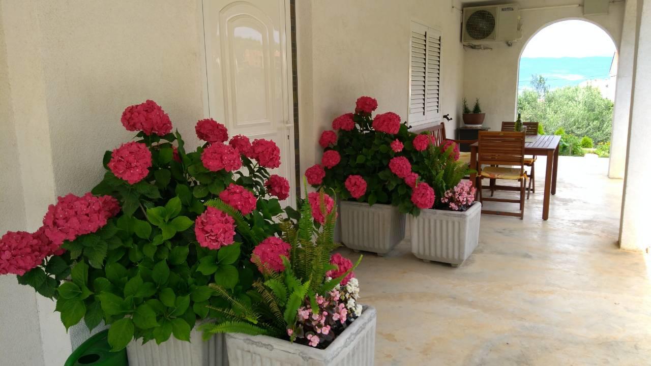 Megi1 Apartment Връбник Екстериор снимка